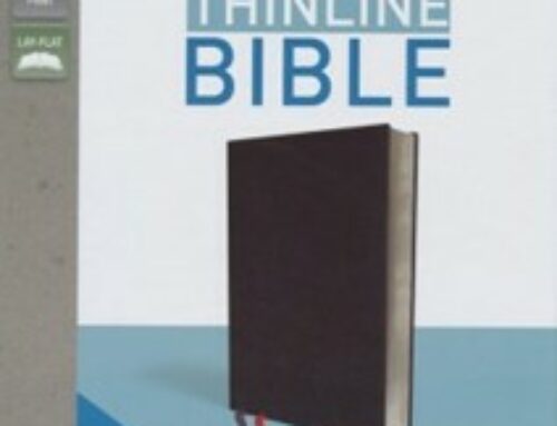 NIV Thinline Bible, Large Print